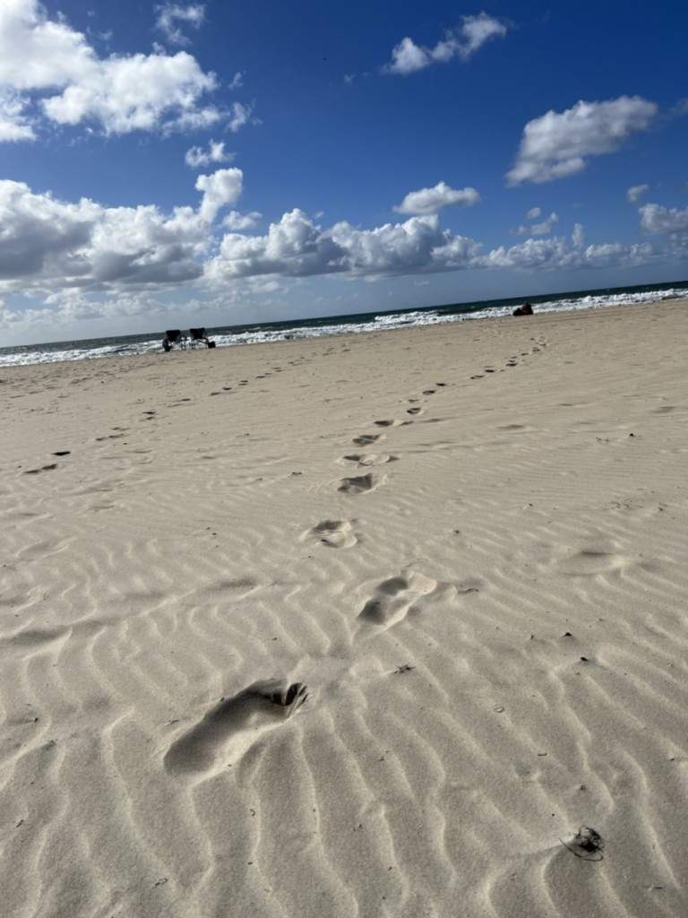 Footprints © Dr. Eric Strand, 2022