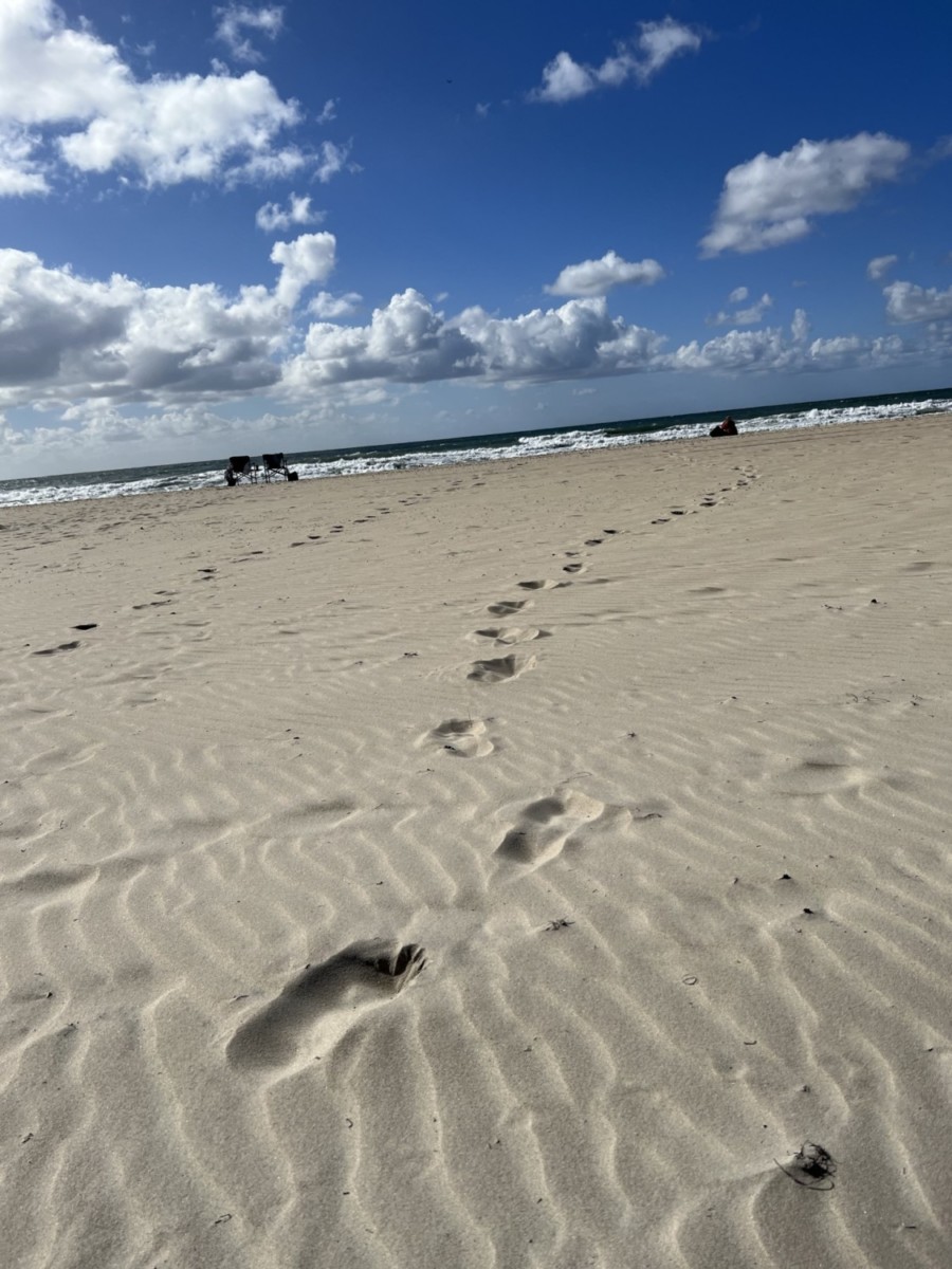 You are currently viewing Footprints: What’s Your Path?