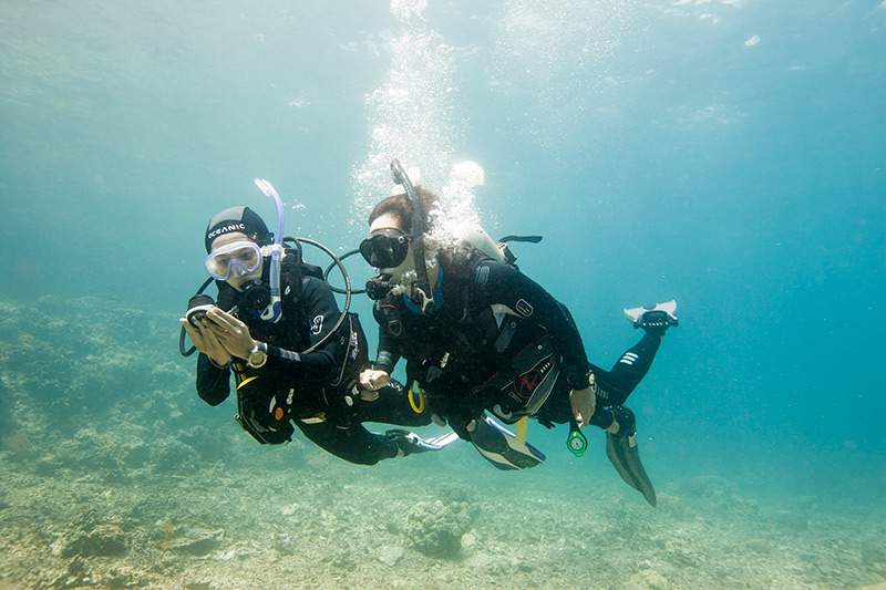 Two divers underwater using a compass for navigation.