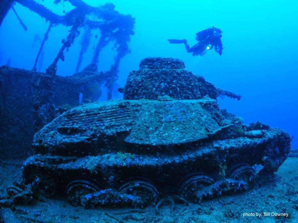 A diver hovers over a wreck.