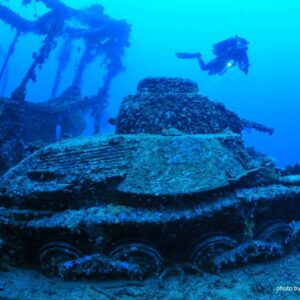 A diver hovers over a wreck.