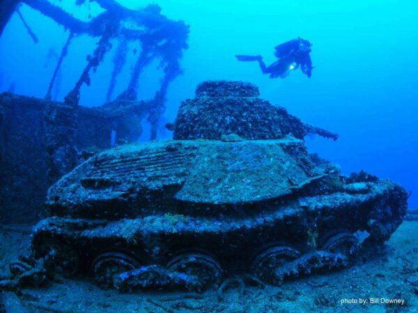 A diver hovers over a wreck.