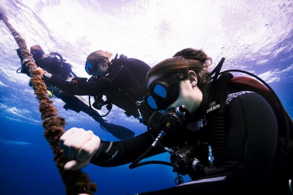 Two divers holding onto the upline for a safety stop after their deep drift dive.