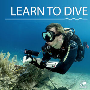 Open Water Referral Diver: train there, certify here.