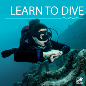 Open Water SCUBA Diver: train here, certify here!