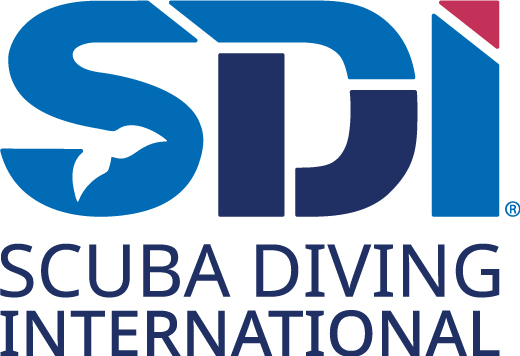 SDI SCUBA Diving International logo in color