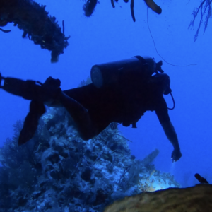 Extended Range (TDI) *Special Price for First 25*