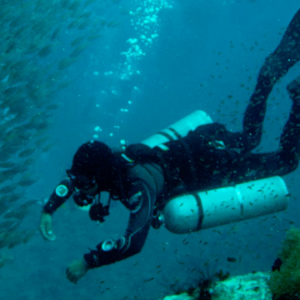 Sidemount (SDI)