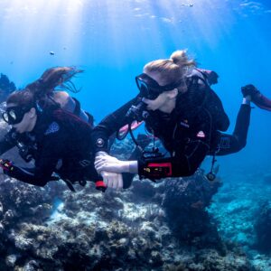 Sport tech diver enjoying a buddy dive with their buddy in crystal clear, blue water