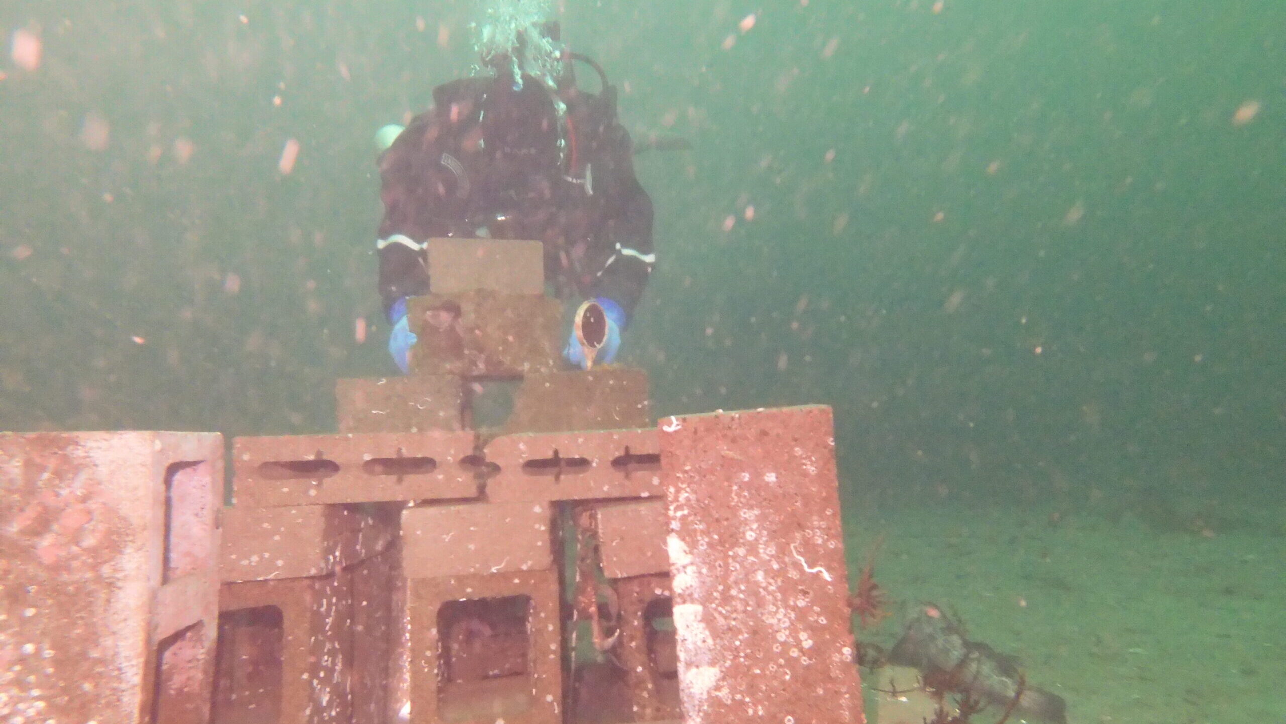 Hoodsport dive weekend temple work. A diver working on stacking bricks for a habitat underwater.