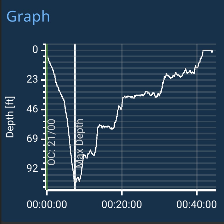 A graph tracking time and depth of an actual dive.