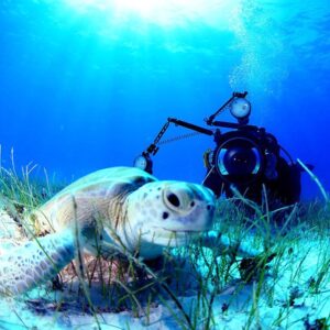 A SCUBA diver patiently waiting with a large camera to photograph a sea turtle slowly floating by.